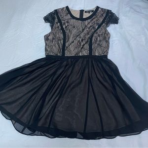 Alex & Alex Lace Fit & Flair Dress // Large // Sheer Illusion